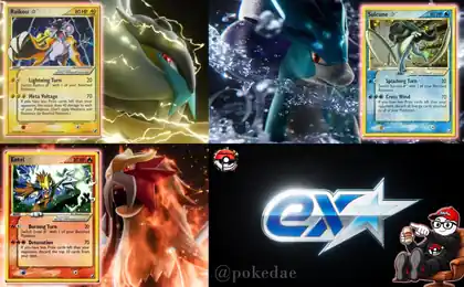 Raikou, Entei and Suicune Gold Star cards with Pokémon ex Star graphic